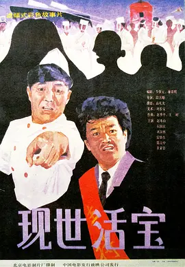 埃及猫原视频